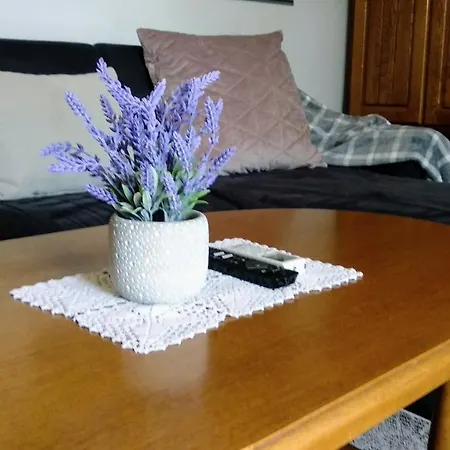 Apartman Tonka *
